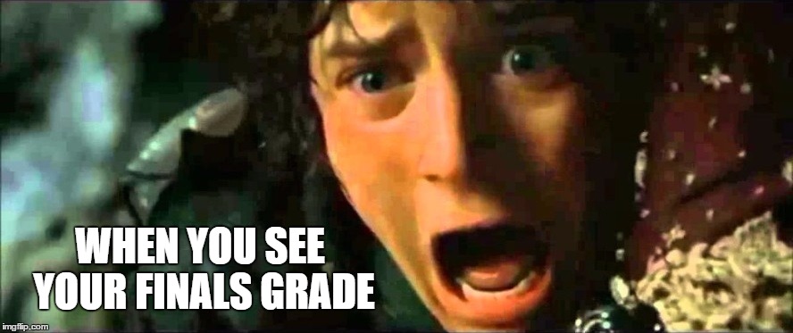 Frodo - noo edited to size | WHEN YOU SEE YOUR FINALS GRADE | image tagged in frodo - noo edited to size,education,college,grades | made w/ Imgflip meme maker
