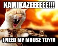Kitty w/Guns | KAMIKAZEEEEEE!!! I NEED MY MOUSE TOY!!! | image tagged in kitty w/guns | made w/ Imgflip meme maker