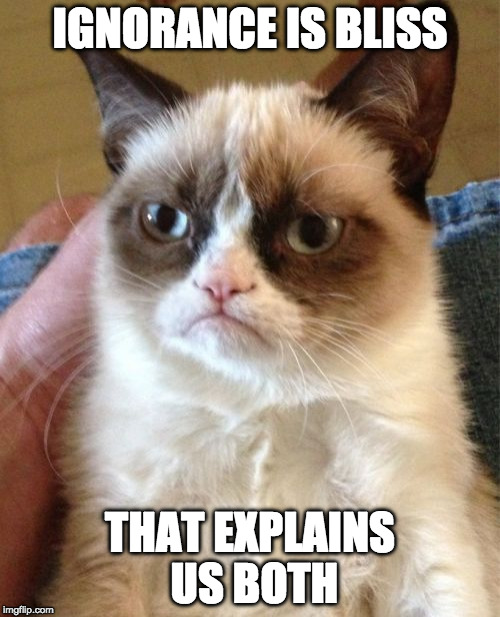 Grumpy Cat Meme | IGNORANCE IS BLISS; THAT EXPLAINS US BOTH | image tagged in memes,grumpy cat | made w/ Imgflip meme maker
