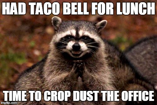 Evil Plotting Raccoon | HAD TACO BELL FOR LUNCH; TIME TO CROP DUST THE OFFICE | image tagged in memes,evil plotting raccoon | made w/ Imgflip meme maker