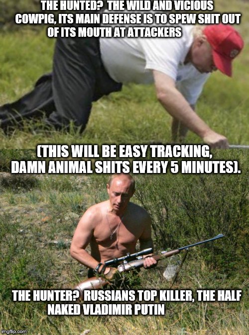 Trump hunted by Putin  | THE HUNTED?  THE WILD AND VICIOUS COWPIG, ITS MAIN DEFENSE IS TO SPEW SHIT OUT OF ITS MOUTH AT ATTACKERS; (THIS WILL BE EASY TRACKING, DAMN ANIMAL SHITS EVERY 5 MINUTES). THE HUNTER?  RUSSIANS TOP KILLER, THE HALF NAKED VLADIMIR PUTIN | image tagged in donald trump,vladimir putin,hunter | made w/ Imgflip meme maker