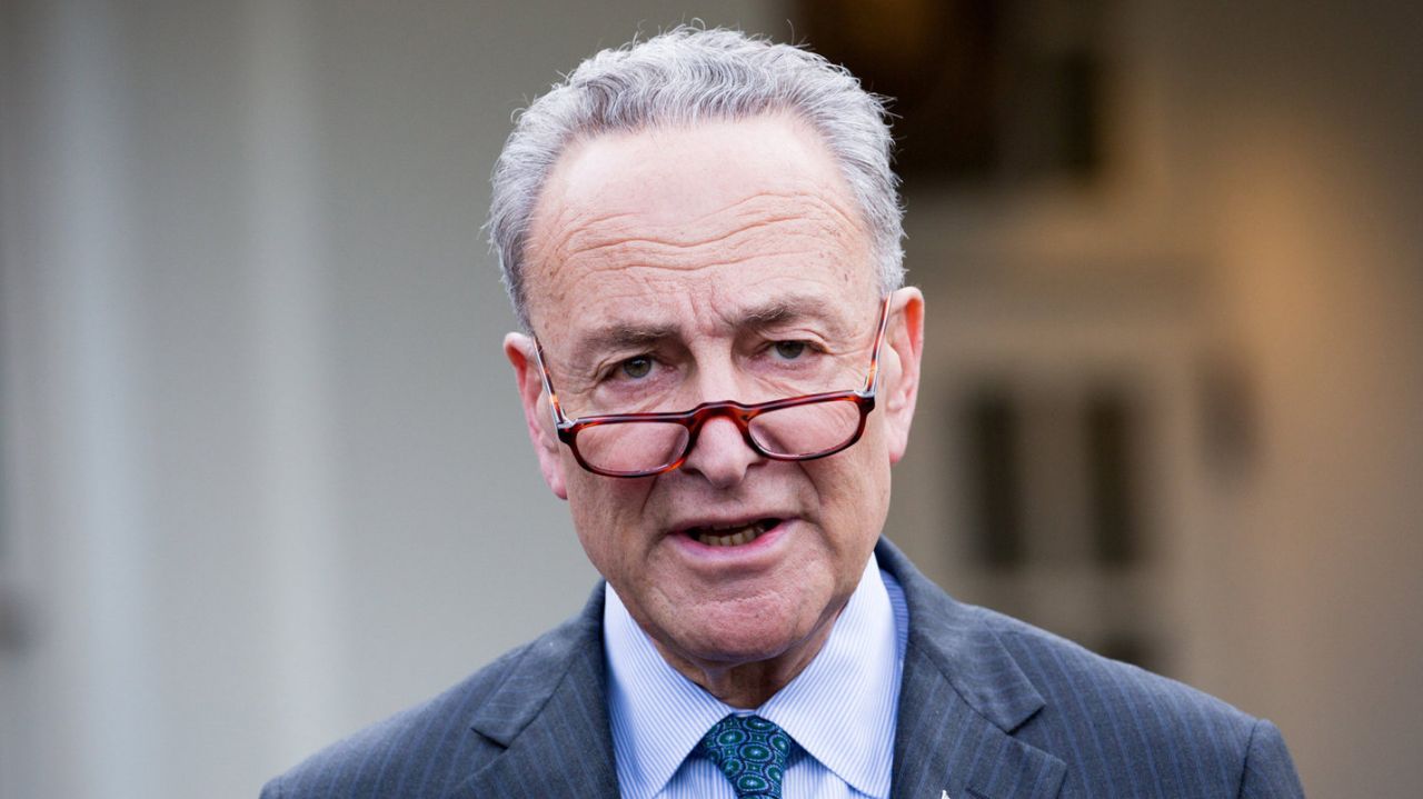 High Quality chuck schumer Blank Meme Template