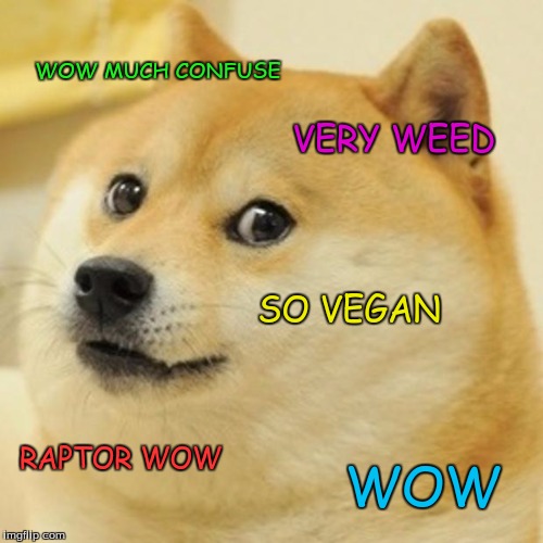 Doge Meme | WOW MUCH CONFUSE VERY WEED SO VEGAN RAPTOR WOW WOW | image tagged in memes,doge | made w/ Imgflip meme maker