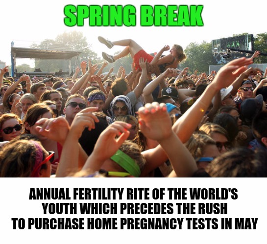 Spring Break: The Party And The Aftermath | SPRING BREAK; ANNUAL FERTILITY RITE OF THE WORLD'S YOUTH WHICH PRECEDES THE RUSH TO PURCHASE HOME PREGNANCY TESTS IN MAY | image tagged in spring break,partying,consequences | made w/ Imgflip meme maker
