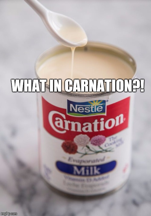 What in carnation?!  | WHAT IN CARNATION?! | image tagged in what in tarnation,what in tarnation week,carnation,carnation week | made w/ Imgflip meme maker