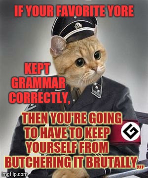 Grammar Nazi Cat | IF YOUR FAVORITE YORE; KEPT GRAMMAR  CORRECTLY, THEN YOU'RE GOING  TO HAVE TO KEEP        YOURSELF FROM        BUTCHERING IT BRUTALLY,,, | image tagged in grammar nazi cat | made w/ Imgflip meme maker