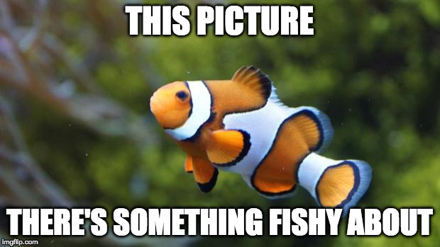 I was going for three bacon posts today until I found this :) | THIS PICTURE; THERE'S SOMETHING FISHY ABOUT | image tagged in fishy,bad pun | made w/ Imgflip meme maker