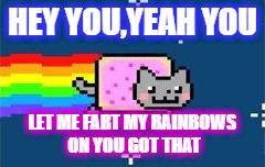 Nyan Cat | HEY YOU,YEAH YOU; LET ME FART MY RAINBOWS ON YOU GOT THAT | image tagged in nyan cat | made w/ Imgflip meme maker