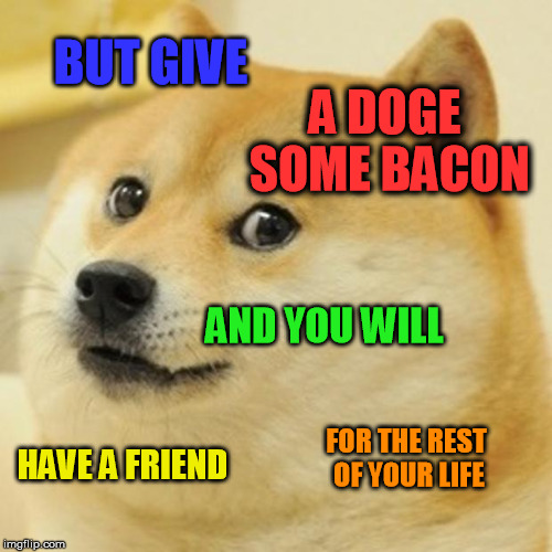 Doge Meme | BUT GIVE A DOGE SOME BACON AND YOU WILL HAVE A FRIEND FOR THE REST OF YOUR LIFE | image tagged in memes,doge | made w/ Imgflip meme maker