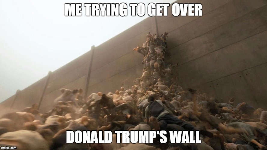 ME TRYING TO GET OVER; DONALD TRUMP'S WALL | image tagged in donald trump,trump wall | made w/ Imgflip meme maker