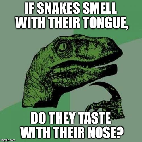 Philosoraptor Meme | IF SNAKES SMELL WITH THEIR TONGUE, DO THEY TASTE WITH THEIR NOSE? | image tagged in memes,philosoraptor | made w/ Imgflip meme maker