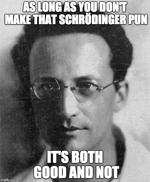 So maybe I should've done the same with this one... | AS LONG AS YOU DON'T MAKE THAT SCHRÖDINGER PUN; IT'S BOTH GOOD AND NOT | image tagged in science,schrodinger,funny | made w/ Imgflip meme maker