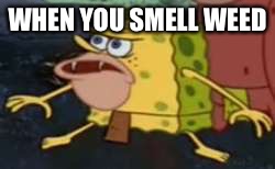 Spongegar | WHEN YOU SMELL WEED | image tagged in memes,spongegar | made w/ Imgflip meme maker
