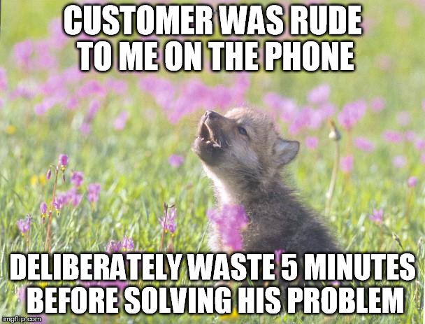Baby Insanity Wolf Meme | CUSTOMER WAS RUDE TO ME ON THE PHONE; DELIBERATELY WASTE 5 MINUTES BEFORE SOLVING HIS PROBLEM | image tagged in memes,baby insanity wolf | made w/ Imgflip meme maker