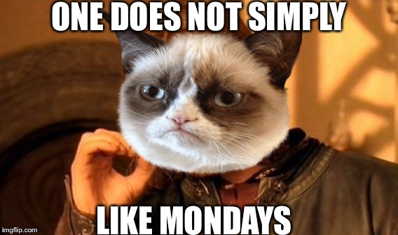 One does not simply grumpy cat | ONE DOES NOT SIMPLY; LIKE MONDAYS | image tagged in one does not simply,grumpy cat | made w/ Imgflip meme maker