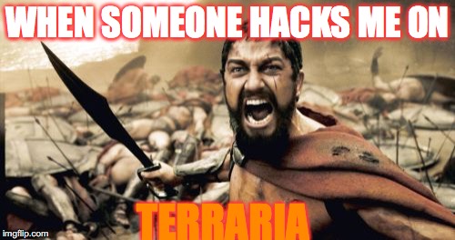 Sparta Leonidas | WHEN SOMEONE HACKS ME ON; TERRARIA | image tagged in memes,sparta leonidas | made w/ Imgflip meme maker