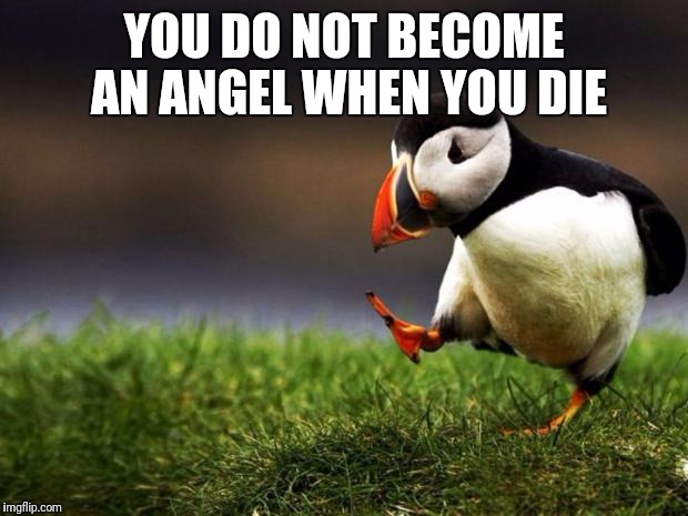 Unpopular Opinion Puffin Meme | YOU DO NOT BECOME AN ANGEL WHEN YOU DIE | image tagged in memes,unpopular opinion puffin | made w/ Imgflip meme maker