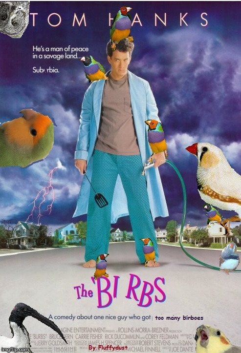 the birbs | image tagged in the burbs,birb,bird,cinema poster | made w/ Imgflip meme maker