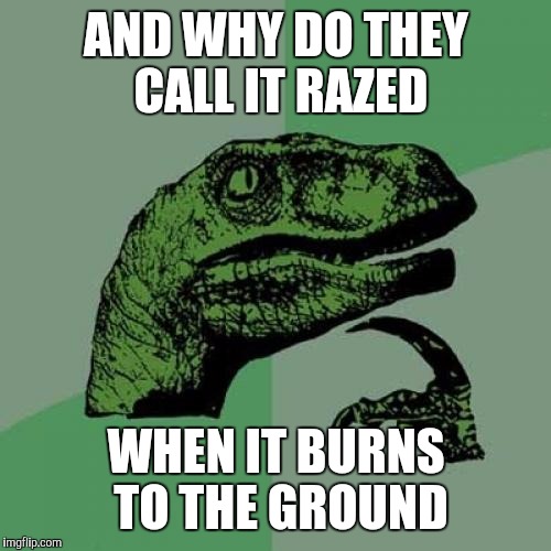 Philosoraptor Meme | AND WHY DO THEY CALL IT RAZED WHEN IT BURNS TO THE GROUND | image tagged in memes,philosoraptor | made w/ Imgflip meme maker