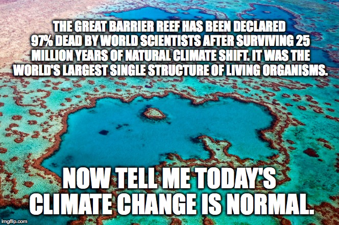 The Grim Reefer |  THE GREAT BARRIER REEF HAS BEEN DECLARED 97% DEAD BY WORLD SCIENTISTS AFTER SURVIVING 25 MILLION YEARS OF NATURAL CLIMATE SHIFT. IT WAS THE WORLD'S LARGEST SINGLE STRUCTURE OF LIVING ORGANISMS. NOW TELL ME TODAY'S CLIMATE CHANGE IS NORMAL. | image tagged in great barrier reef,global warming,climate change,coral | made w/ Imgflip meme maker