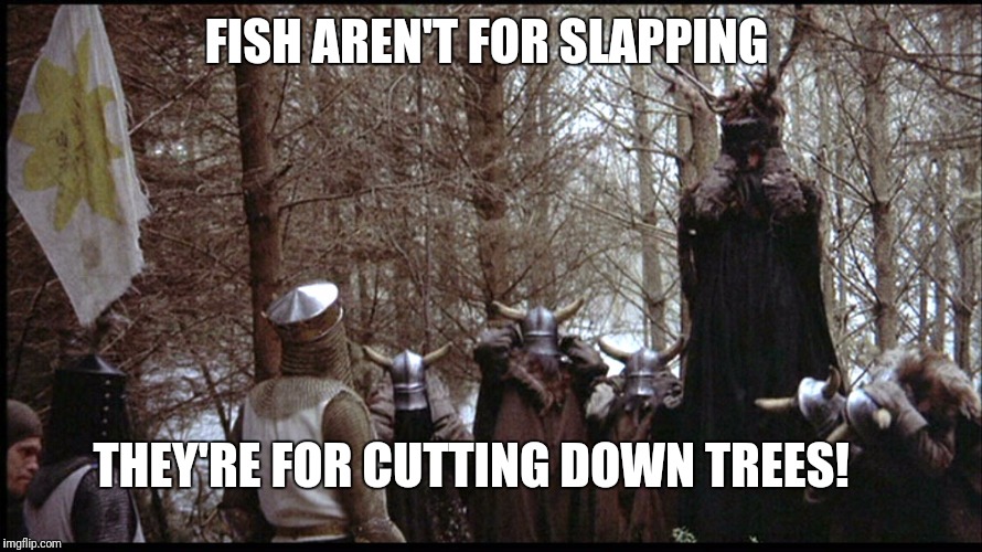 FISH AREN'T FOR SLAPPING THEY'RE FOR CUTTING DOWN TREES! | image tagged in knights of ni | made w/ Imgflip meme maker