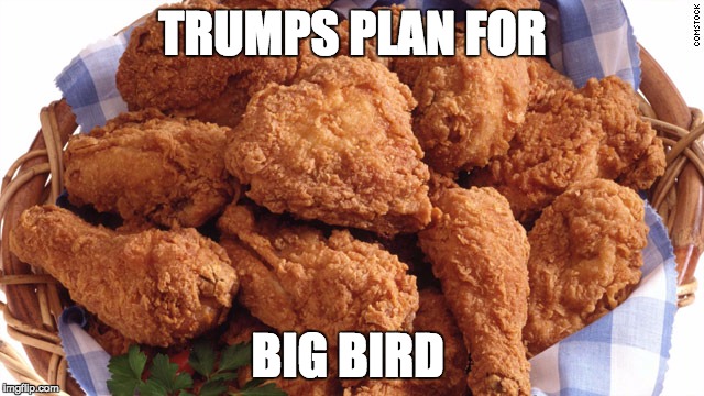 big bird trump | TRUMPS PLAN FOR; BIG BIRD | image tagged in trump | made w/ Imgflip meme maker