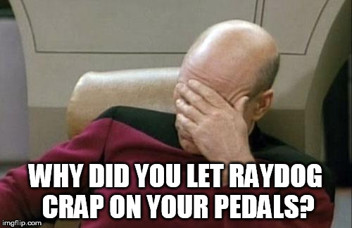 Captain Picard Facepalm Meme | WHY DID YOU LET RAYDOG CRAP ON YOUR PEDALS? | image tagged in memes,captain picard facepalm | made w/ Imgflip meme maker