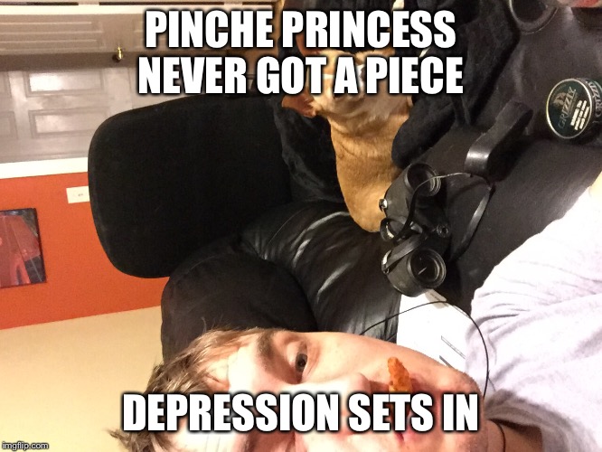 Poor princess | PINCHE PRINCESS NEVER GOT A PIECE; DEPRESSION SETS IN | image tagged in dogs | made w/ Imgflip meme maker