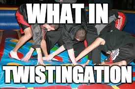 another what in tarnation | WHAT IN; TWISTINGATION | image tagged in what in tarnation,funny,twister,memes | made w/ Imgflip meme maker
