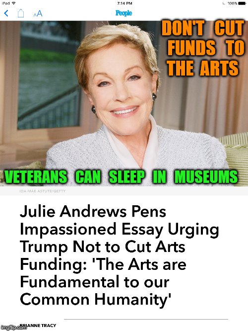 arts | DON'T   CUT  FUNDS   TO  THE  ARTS; VETERANS   CAN   SLEEP   IN   MUSEUMS | image tagged in julie andrews | made w/ Imgflip meme maker
