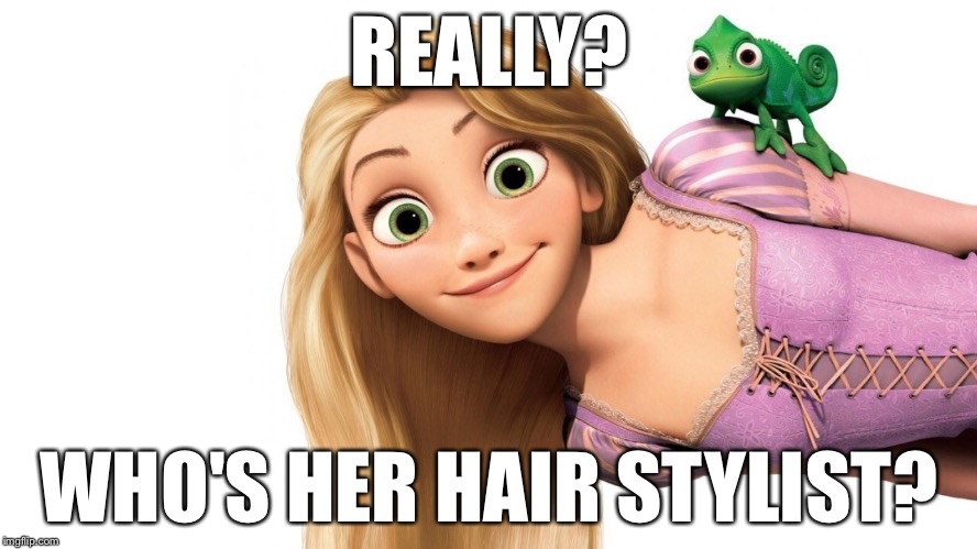 REALLY? WHO'S HER HAIR STYLIST? | made w/ Imgflip meme maker