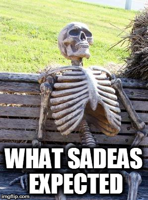 Waiting Skeleton Meme | WHAT SADEAS EXPECTED | image tagged in memes,waiting skeleton | made w/ Imgflip meme maker