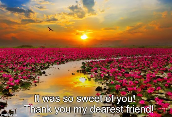 It was so sweet of you!  
Thank you my dearest friend! | made w/ Imgflip meme maker