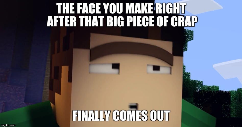 Ahhhhhh! | THE FACE YOU MAKE RIGHT AFTER THAT BIG PIECE OF CRAP; FINALLY COMES OUT | image tagged in its finally over | made w/ Imgflip meme maker