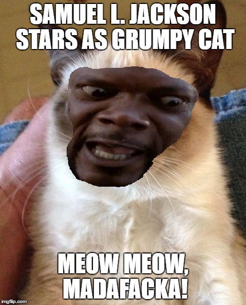 SAMUEL L. JACKSON STARS AS GRUMPY CAT; MEOW MEOW, MADAFACKA! | image tagged in grumpy cat | made w/ Imgflip meme maker
