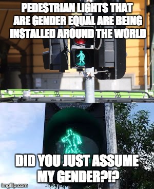 PEDESTRIAN LIGHTS THAT ARE GENDER EQUAL ARE BEING INSTALLED AROUND THE WORLD; DID YOU JUST ASSUME MY GENDER?!? | image tagged in memes,funny | made w/ Imgflip meme maker