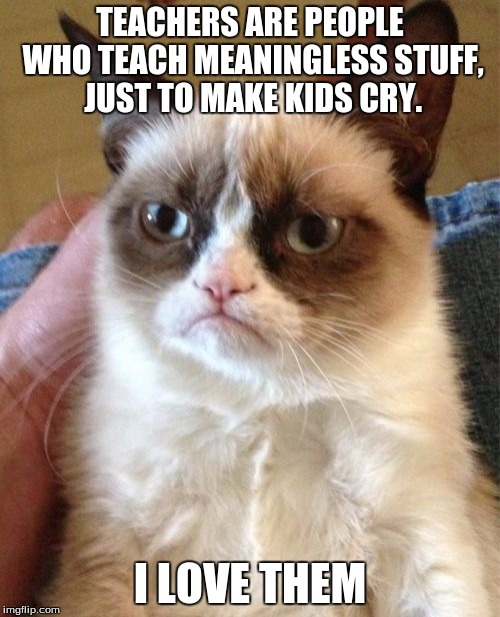 Grumpy Cat Meme | TEACHERS ARE PEOPLE WHO TEACH MEANINGLESS STUFF, JUST TO MAKE KIDS CRY. I LOVE THEM | image tagged in memes,grumpy cat | made w/ Imgflip meme maker