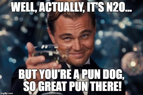 Leonardo Dicaprio Cheers Meme | WELL, ACTUALLY, IT'S N2O... BUT YOU'RE A PUN DOG, SO GREAT PUN THERE! | image tagged in memes,leonardo dicaprio cheers | made w/ Imgflip meme maker
