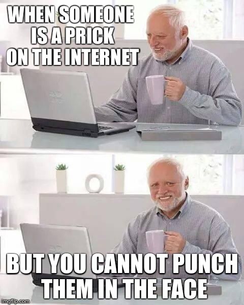 Hide the Pain Harold Meme | WHEN SOMEONE IS A PRICK ON THE INTERNET; BUT YOU CANNOT PUNCH THEM IN THE FACE | image tagged in memes,hide the pain harold | made w/ Imgflip meme maker