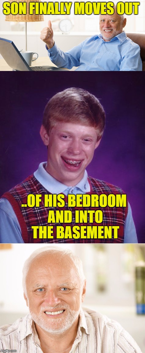 Bad Luck Harold | SON FINALLY MOVES OUT; ..OF HIS BEDROOM AND INTO THE BASEMENT | image tagged in memes,funny,hide the pain harold,bad luck brian | made w/ Imgflip meme maker