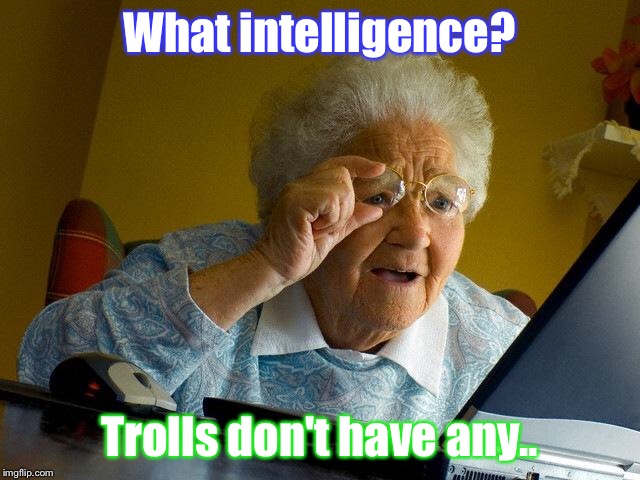 Grandma Finds The Internet Meme | What intelligence? Trolls don't have any.. | image tagged in memes,grandma finds the internet | made w/ Imgflip meme maker