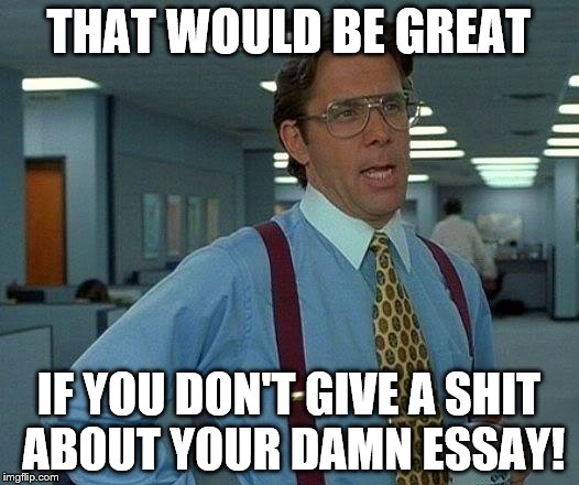 Who give a crap bout dat essay boi? | THAT WOULD BE GREAT; IF YOU DON'T GIVE A SHIT ABOUT YOUR DAMN ESSAY! | image tagged in memes,that would be great | made w/ Imgflip meme maker