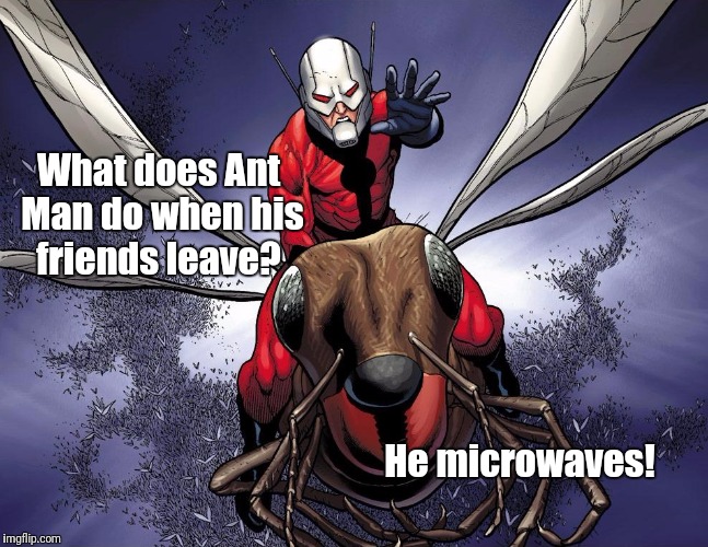 What does Ant Man do when his friends leave? He microwaves! | image tagged in ant man | made w/ Imgflip meme maker