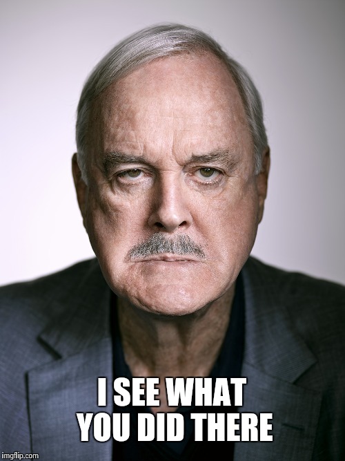 John Cleese | I SEE WHAT YOU DID THERE | image tagged in john cleese | made w/ Imgflip meme maker