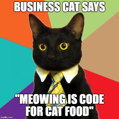Business Cat Meme | BUSINESS CAT SAYS; "MEOWING IS CODE FOR CAT FOOD" | image tagged in memes,business cat | made w/ Imgflip meme maker
