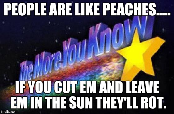 People are like peaches | PEOPLE ARE LIKE PEACHES..... IF YOU CUT EM AND LEAVE EM IN THE SUN THEY'LL ROT. | image tagged in funny memes,funny,the more you know,dark humor,memes | made w/ Imgflip meme maker