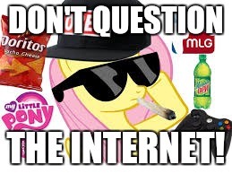 MLG Pony | DON'T QUESTION THE INTERNET! | image tagged in mlg pony | made w/ Imgflip meme maker