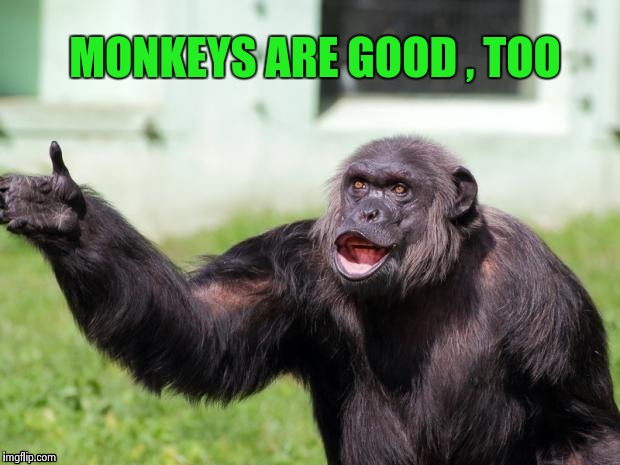 Gorilla your dreams | MONKEYS ARE GOOD , TOO | image tagged in gorilla your dreams | made w/ Imgflip meme maker