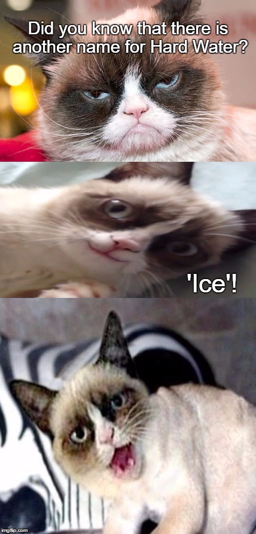 Bad Pun Grumpy Cat | Did you know that there is another name for Hard Water? 'Ice'! | image tagged in bad pun grumpy cat | made w/ Imgflip meme maker
