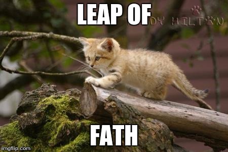 jump cat | LEAP OF; FATH | image tagged in jump cat | made w/ Imgflip meme maker